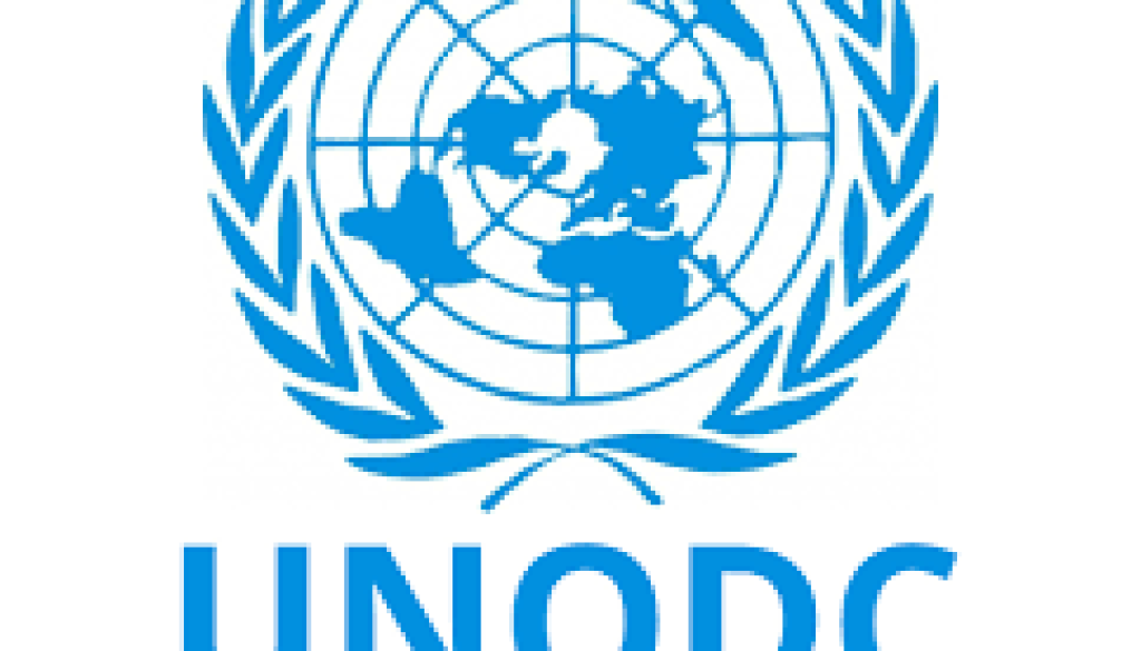 Corruption and Financial Investigations Expert Vacancy-Job Ref: BJPGUNODC/0306/2025816
